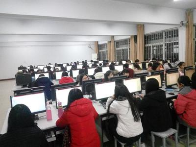 青年志愿者联合会举办办公软件培训活动，提升技术服务能力